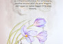 professionally format your childrens book for KDP, ingramspark, lulu and print